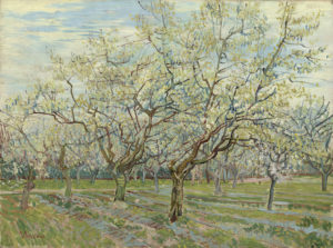 Van Gogh, boomgaard